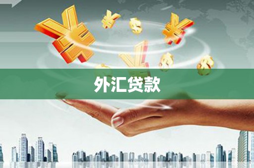 清徐外汇贷款