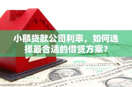 清徐小额贷款公司利率，如何选择最合适的借贷方案？